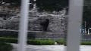 都会のオアシス