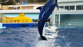 子どもも大人も楽しめる体験できる水族館♪