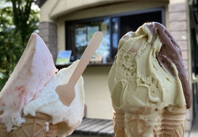 手作り感満載のジェラート屋さん