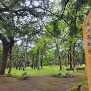 地味な公園