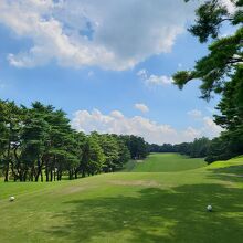 松の木などでセパレートされた美しいゴルフ場です