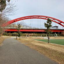 芹沢公園内から見るとこんな感じです。