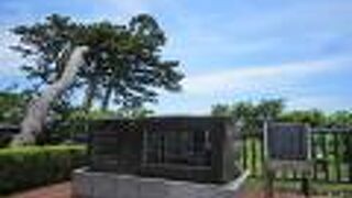 稲取岬を謳った歌なのでしょう