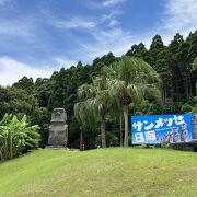 宮崎のモアイ像