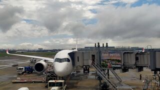 お店が充実の空港