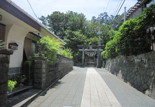 古い歴史のある神社です、源頼朝とも関係あります