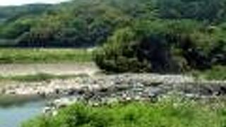 小さな魚にとっては大事！