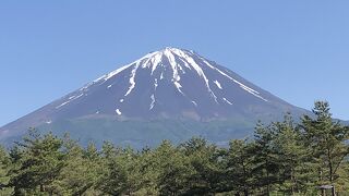 近くで見たい！