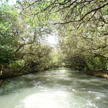 船は先頭か一番後ろがおすすめ