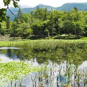 一番大きな湖