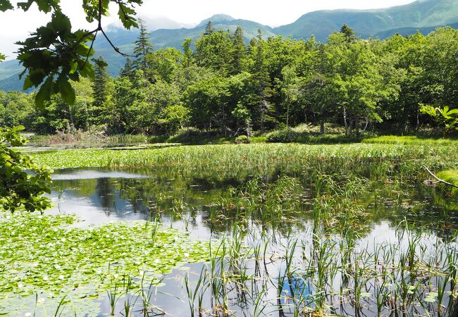 一番大きな湖