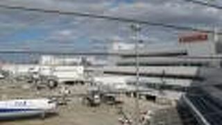 広々としていて気持ちが良い