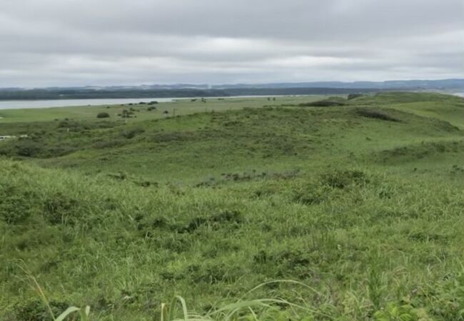 小清水原生花園から見える。