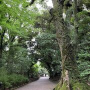 小高い山全体が公園です。