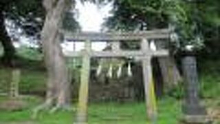 住宅に囲まれています