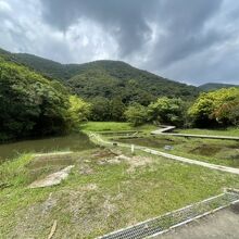 本場奄美大島紬泥染公園