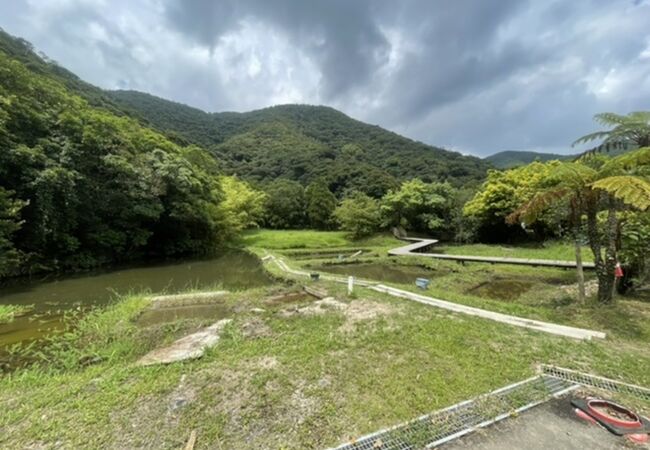 本場奄美大島紬泥染公園