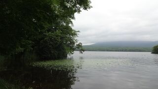 7月中旬に訪問しました。