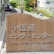 見ごたえのある展示