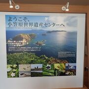 建物は立派ですが、展示内容は？