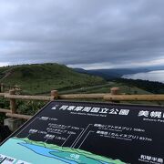 とても綺麗でした。