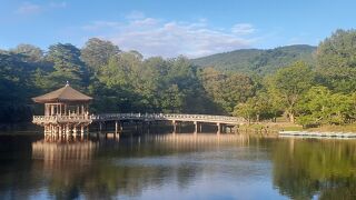 浮見堂のある池です。サルスベリの花が咲いていました