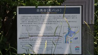 メインは冬場かな