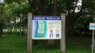 大沼の湖畔にあるキャンプ場です。