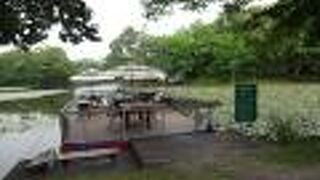 この周辺の景色がきれいだと、ポロト館で自転車を借りた時に教えていただきました。