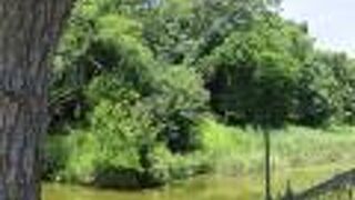 古墳か森かわからないほど