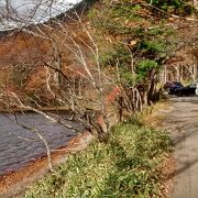 遊歩道沿いに時々質問・答えの説明板があって、めちゃ楽し