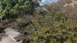 緑色の木々が多かったでした