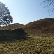 忍城・行田散策でさきたま古墳公園内にある鉄砲山古墳に行きました