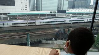 子鉄も大満足！ 東京駅を見下ろしながら、お座敷でおいしい和食