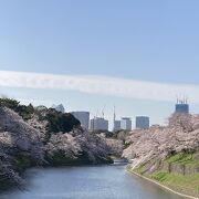 東京タワーが見えます