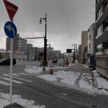 福井市内のフェニックス通り