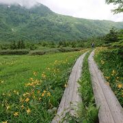 天空の花園