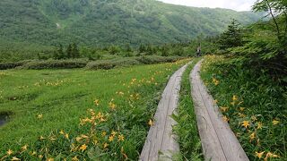 天空の花園