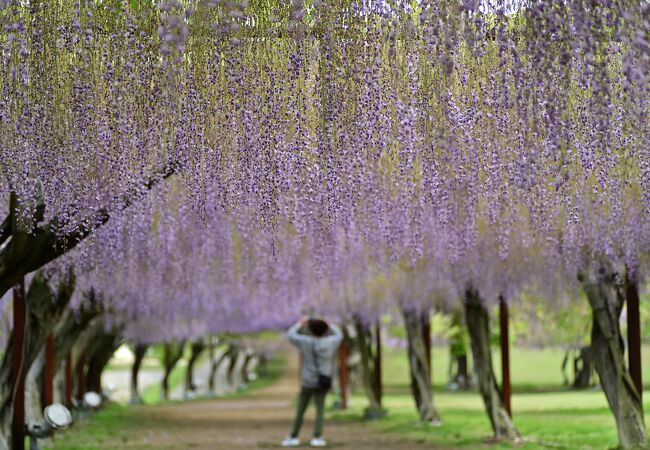 こんな年もあるか