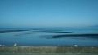 波がなくあまりにも穏やかなので、海じゃないみたい