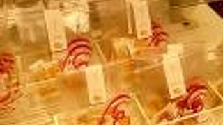 果汁あめ 太陽のウインク