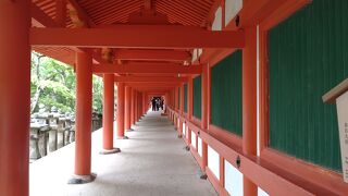 春日大社の見どころの一つ