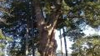 パワースポット？