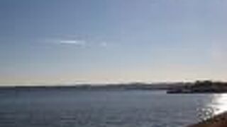 オオタカが見られました。