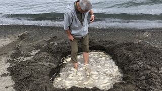 砂を掘ると温泉が出て来ます。