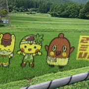 田んぼアート見てきましたよ