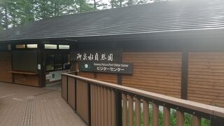 蓼科山麓の散策に