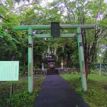 鳥居の奥に小さなお社があります。