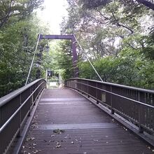 多磨霊園側からアクセスすると道路を越えるきすげ橋からが公園