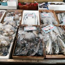 店内の鮮魚